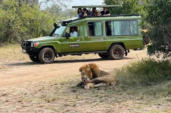 4x4 Car Rental Rwanda: Best Vehicles for Safari & Road Trips (2026)