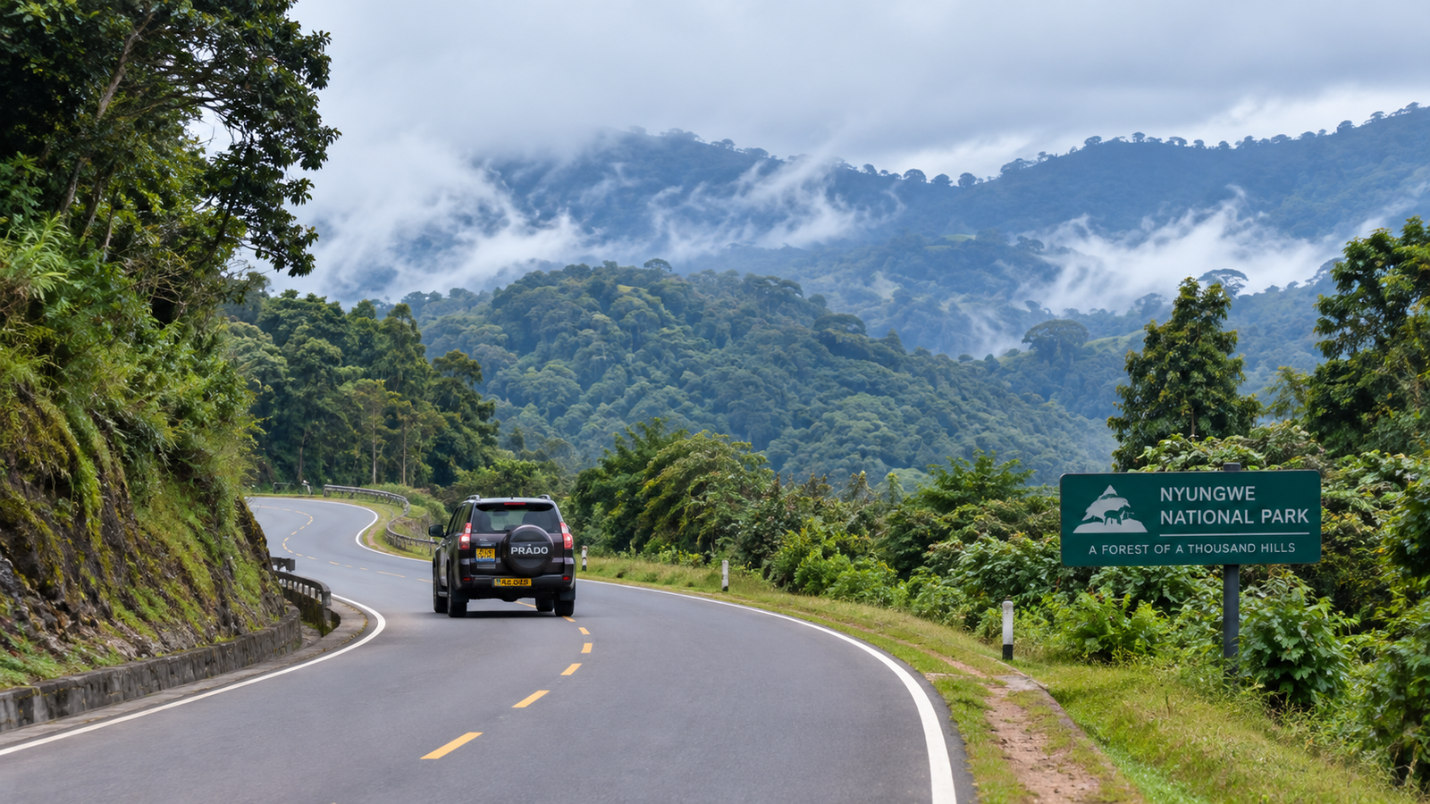 Kigali to Nyungwe National Park: Complete Self-Drive Guide